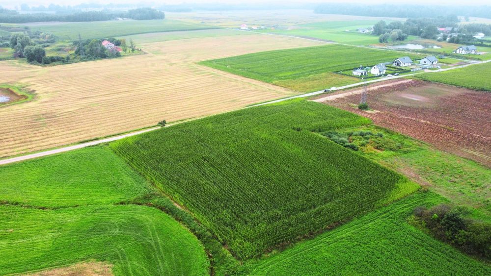 Działki budowlane z WZ - Widok 2