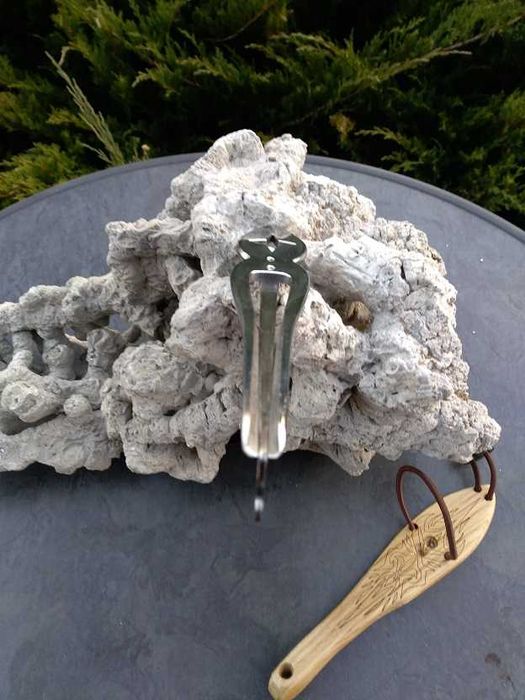 Drumla basowa - GWIAZDA - 2 w 1 Dis/C