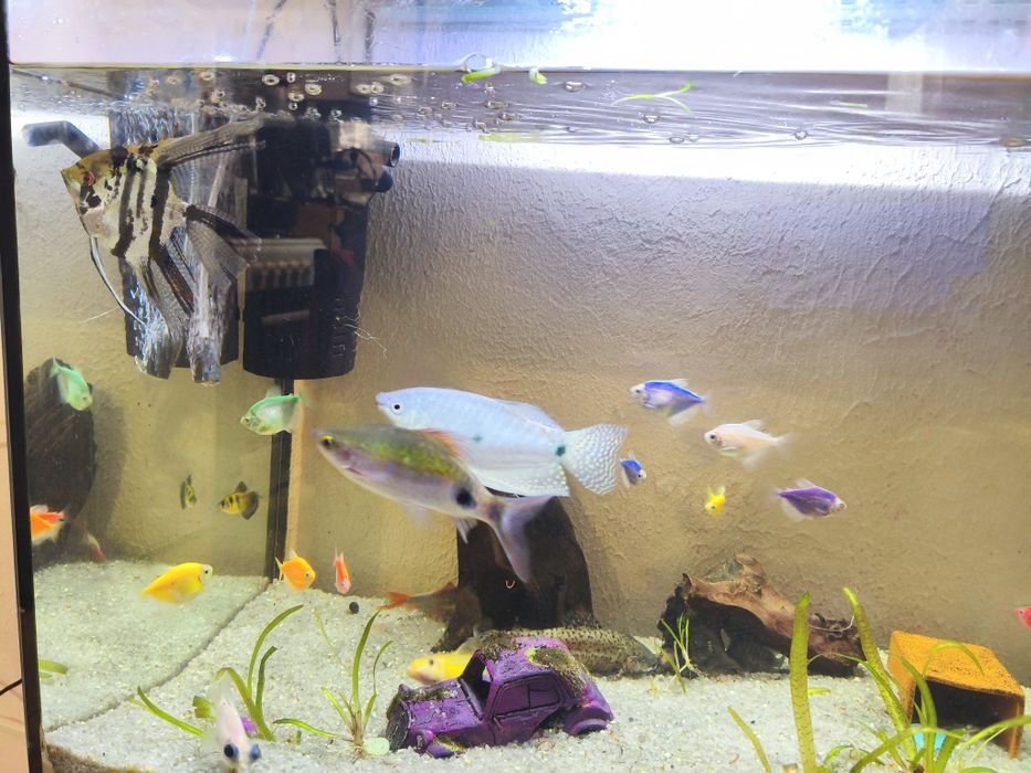 СРОЧНО!!! Продам великий акваріум 150л аквариум