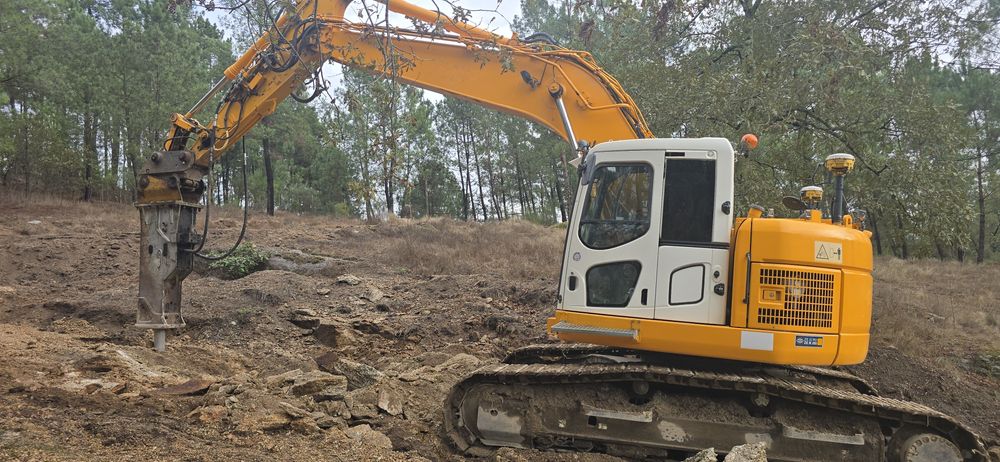 Aluguer e serviços de giratoria