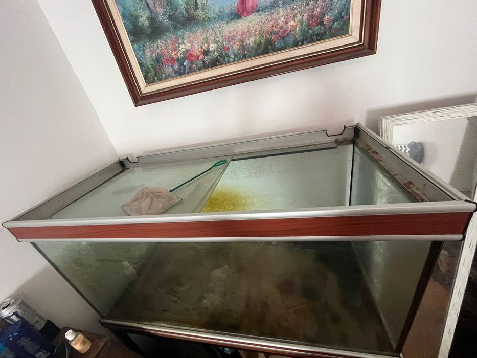Aquário 500 litros + móvel em metal