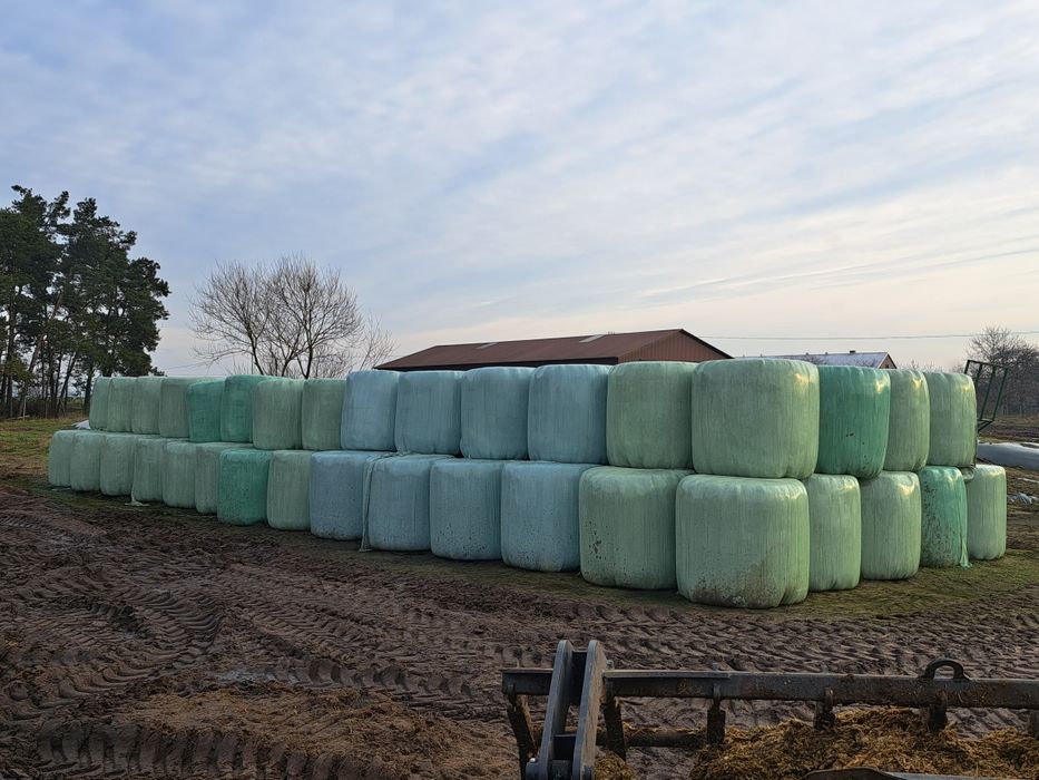 Sprzedam sianokiszonkę