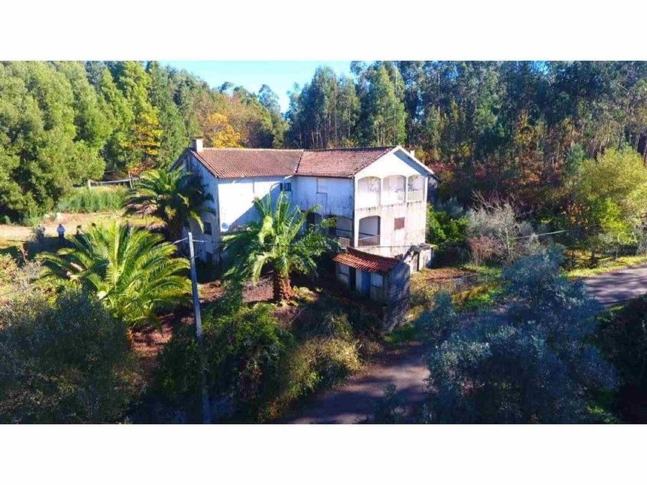 Habitação E Comércio