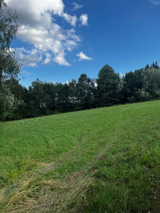 Działka rolna Wilczyska 44 ar