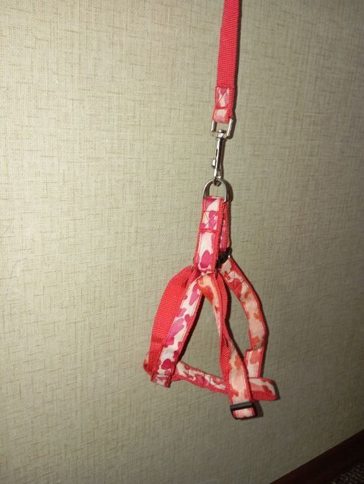 Продам шлею+поводок