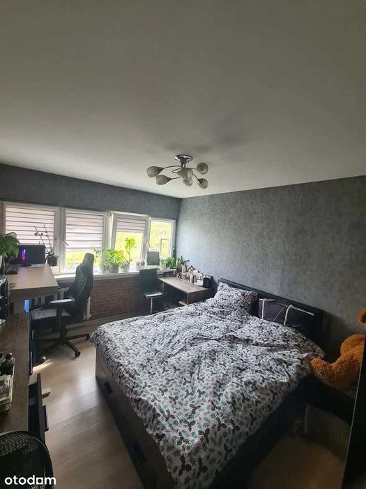 2-pokojowe mieszkanie na Teofilowie, Łódź