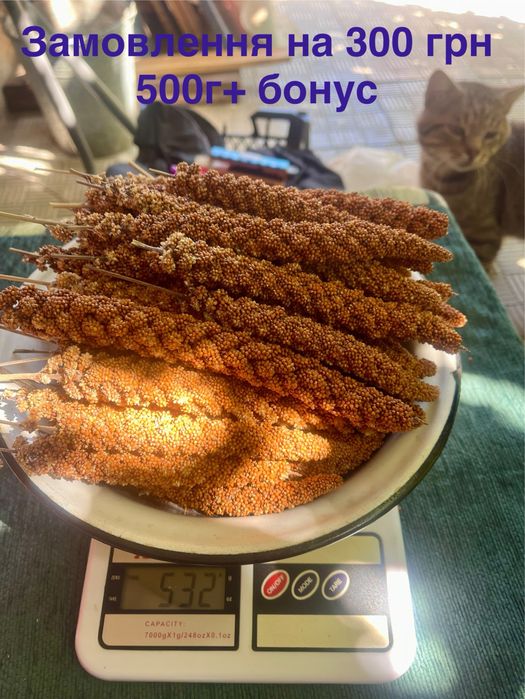 Чумиза на вагу 2025, 100 г