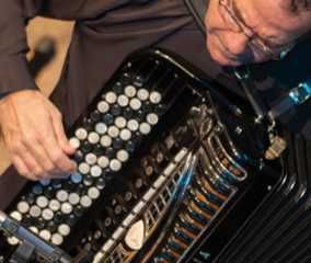 Akordeon Victoria Professional Ac 420 V