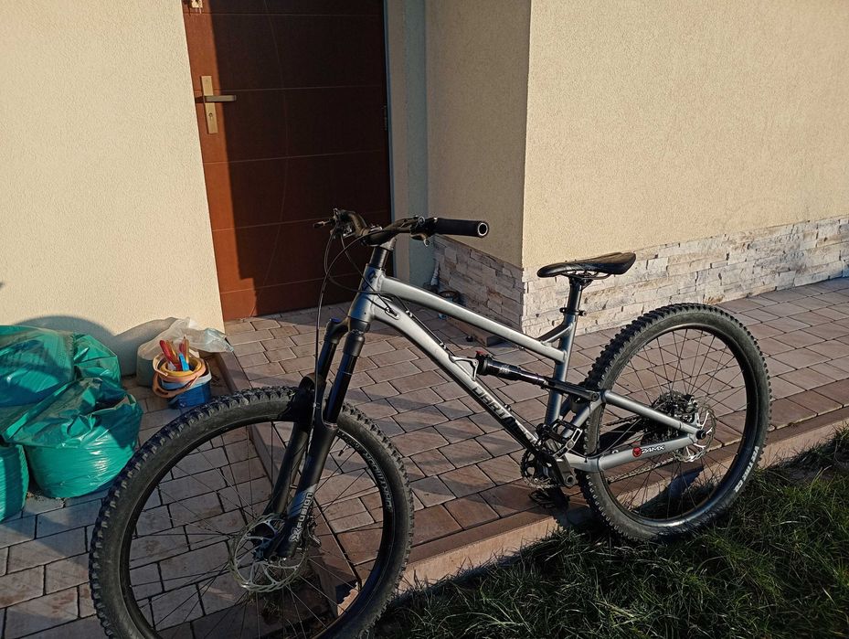 Dartmoor blackbird intro 2022 M