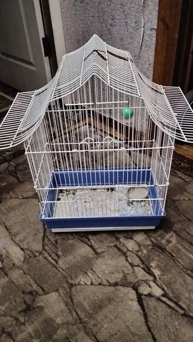 Продаю клитку та її мешканці.