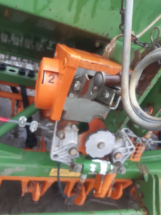 Ścieżki amazone d8 lub 302