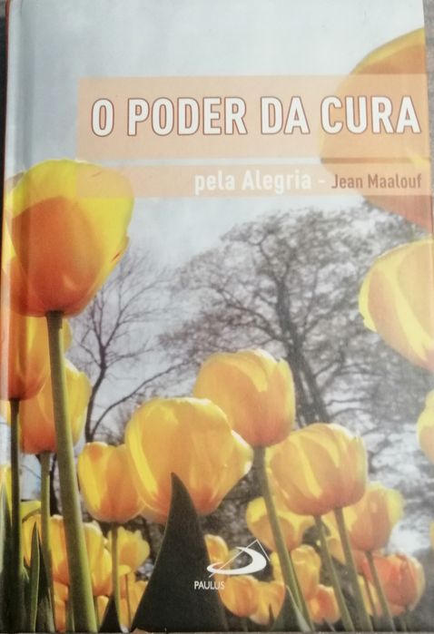 Livro O Poder  da Cura