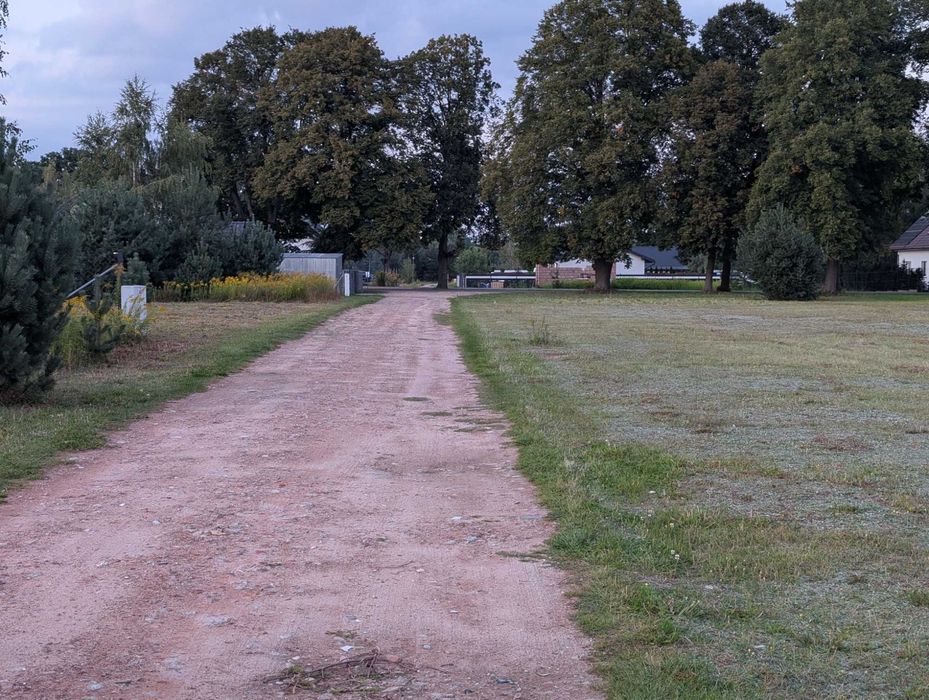Zdjęcie 5