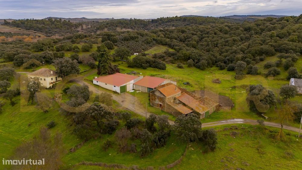 Quinta do Arieiro em Vila Nova de Foz Côa