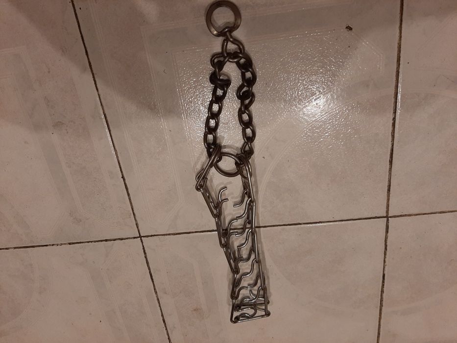 Ошейник строгий для собаки