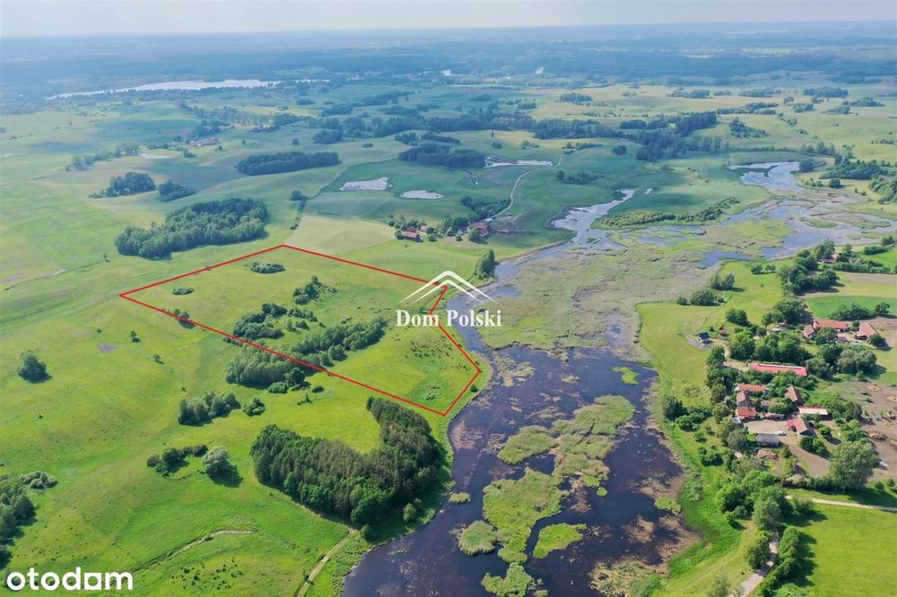 Działka z warunkami zabudowy - 7,28 ha - Świętajno - Widok 2