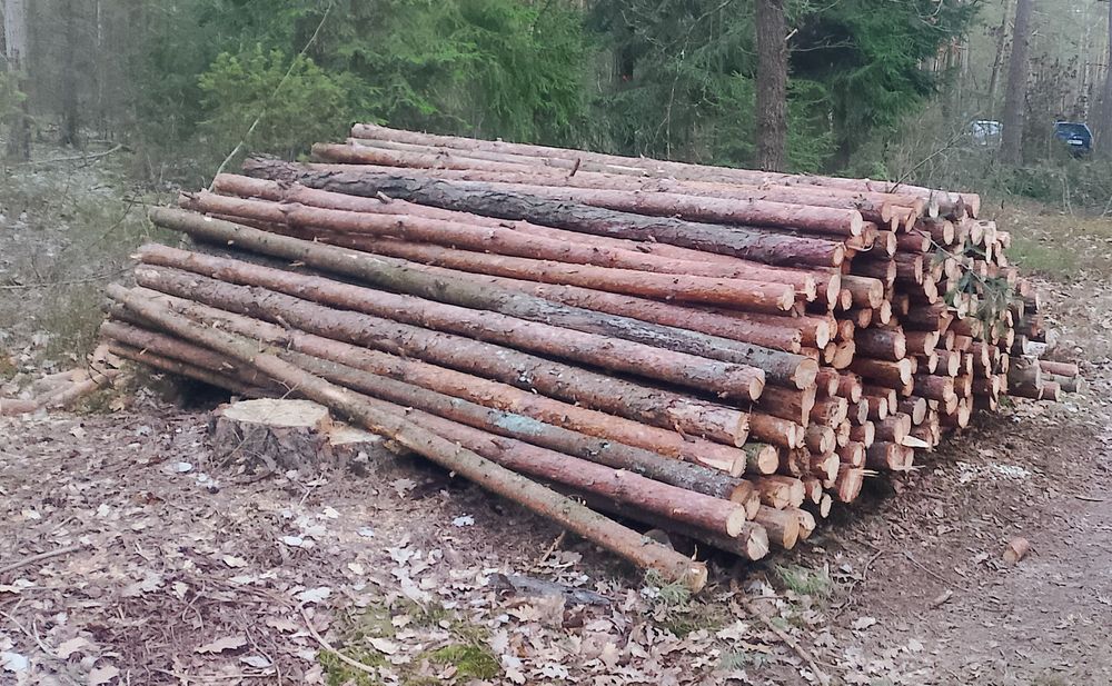 Stemple kołki słupki 3m  . Możliwość każdy wymiar