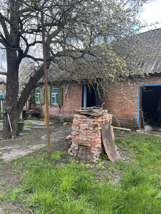 Будинок в селі Петрівці Полтавська обл.