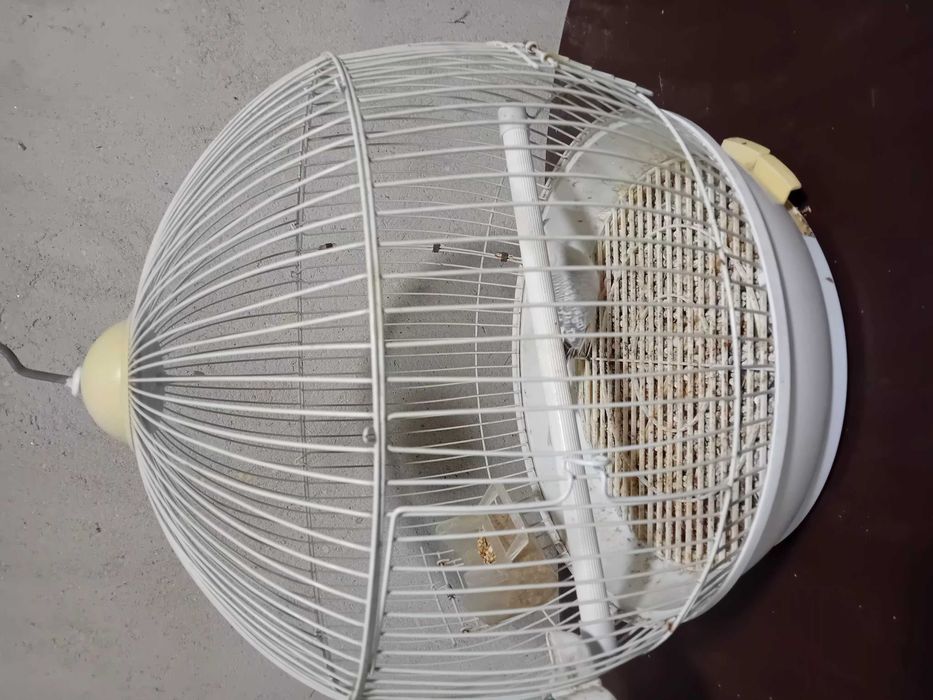 Gaiolas para ceder ou trocar por aves