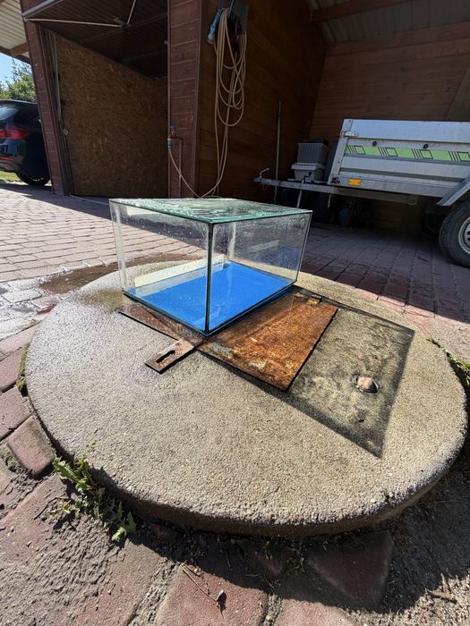 Akwarium / Terrarium 60x40 cm z szklaną pokrywą i niebieskim tłem