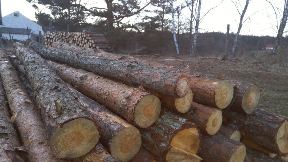 Stemple Budowlane NOWE na wymiar