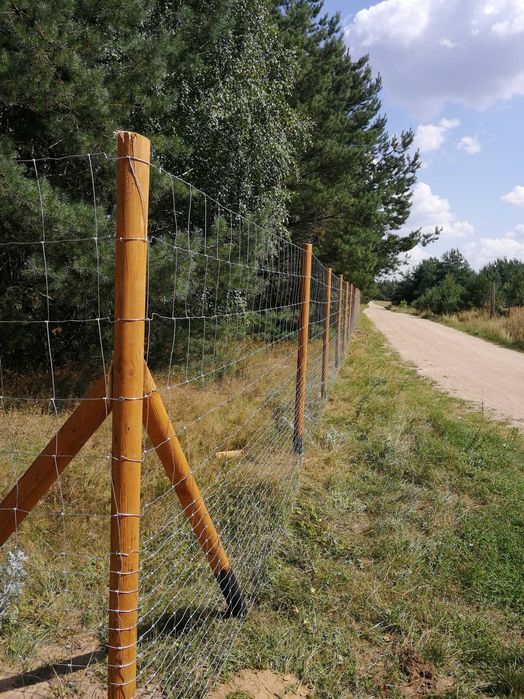 Ogrodzenie budowlane, siatka leśna