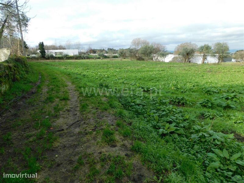 Terreno / Gouveia, Gouveia