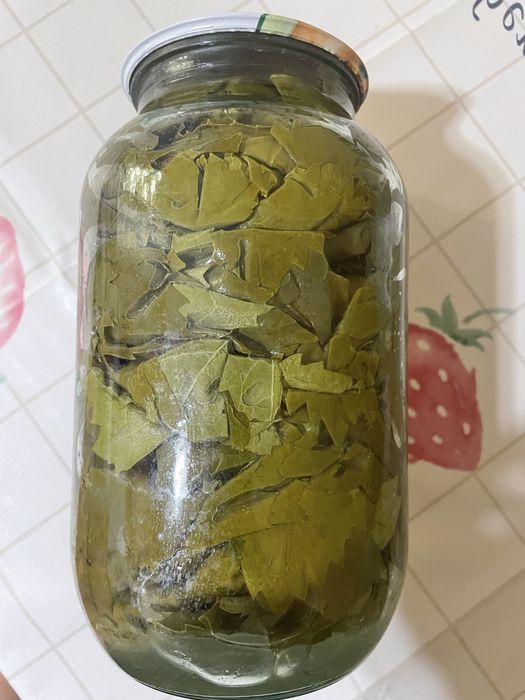 Продам листья винограда