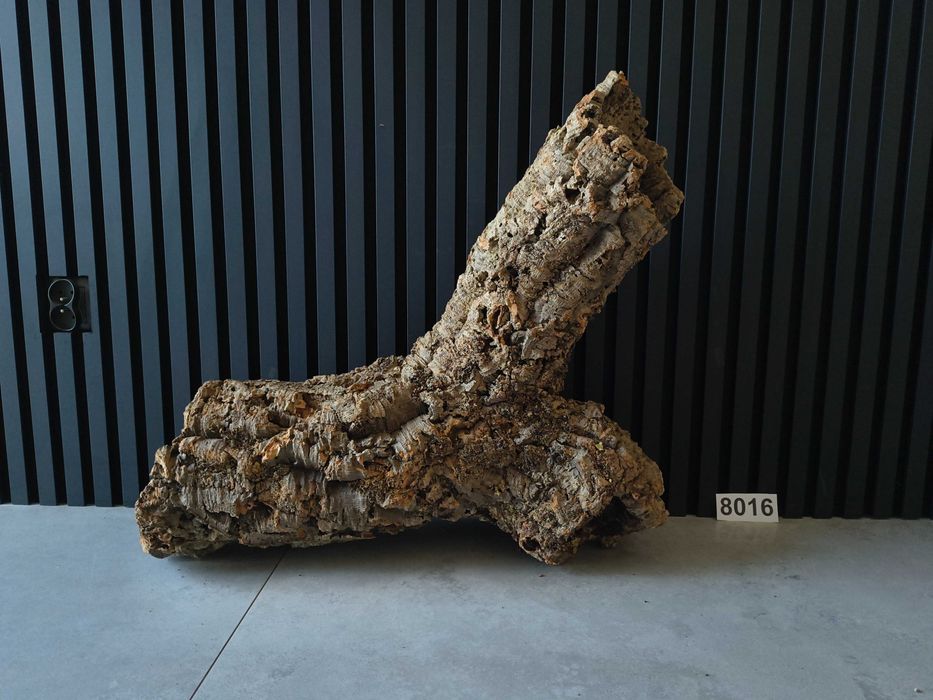 Tuba KORKOWA 8016 kora dębu do terrarium płaz gad pająk 69x64x27 XXL
