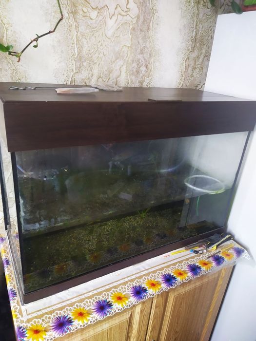 Продам акваріум на 100л