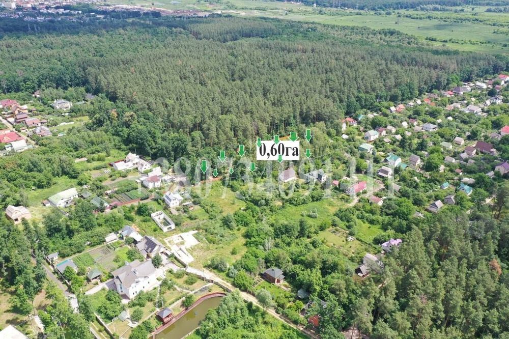 СТОЯНКА!Продаж Єксклюзивної  Ділянки 60 соток  в СТ"ІРПІНЬ"з прямим виходом до Лісу! - View 6