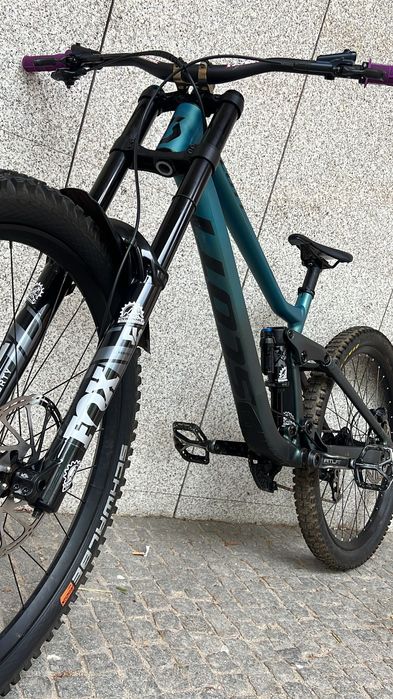 Scott gambler 910 de 2024 DH