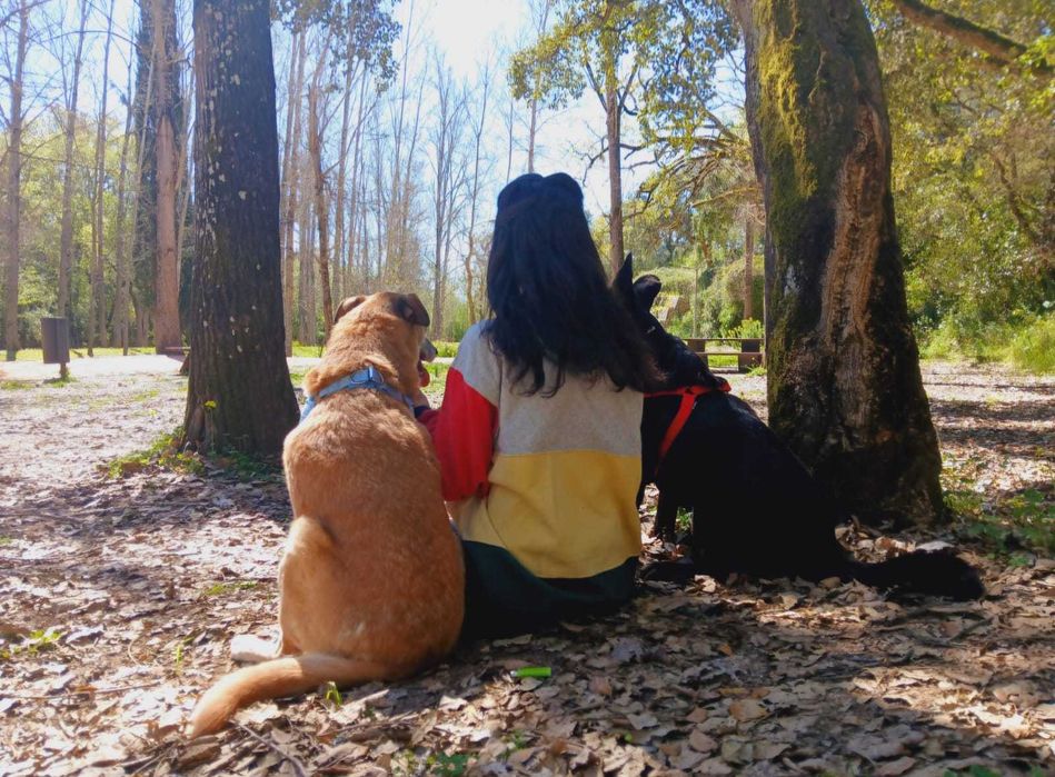 Walk & Woof - Dog walking/Pet sitting