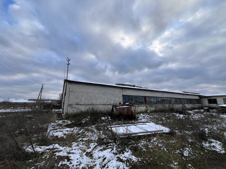 Продам приміщення колишніх корівників під склади/виробництво
