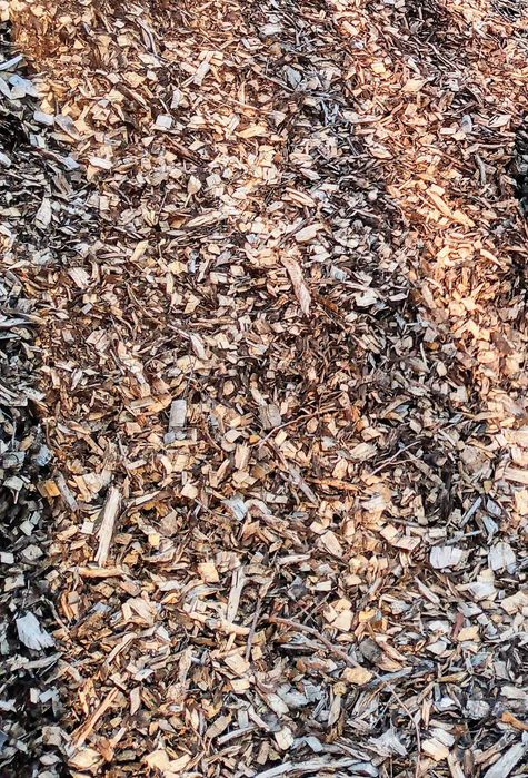 Zrębka drzewna kora