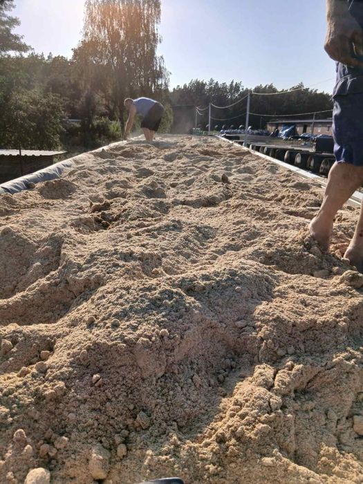 Продам грабову тирсу 1000 грн за куб