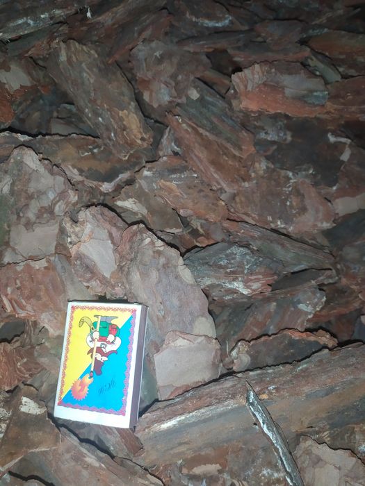 Кора соснова в Обухові