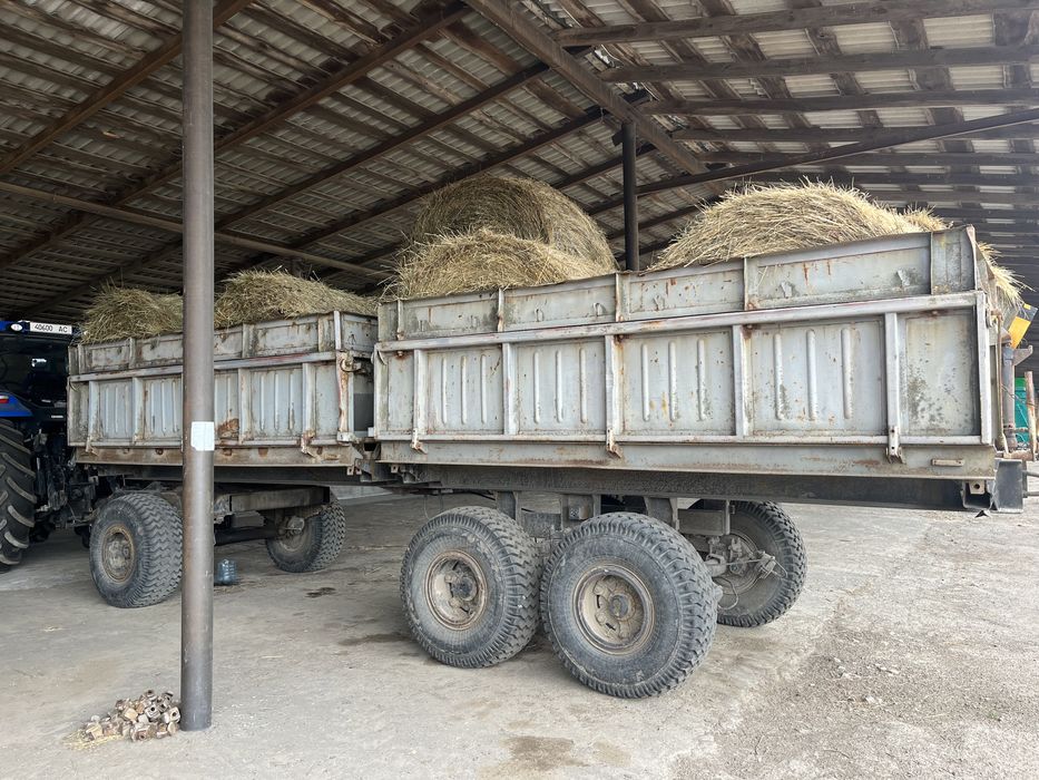 Сіно лугове 2025