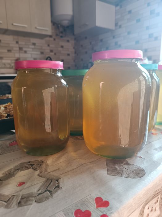 Продам Свіжий мед, свіжовикачаний мед