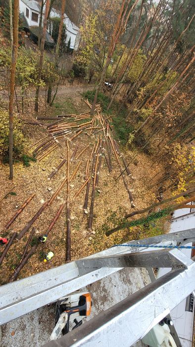 Wycinka drzew, pielęgnacja ogrodu , przygotowanie terenu pod budowe