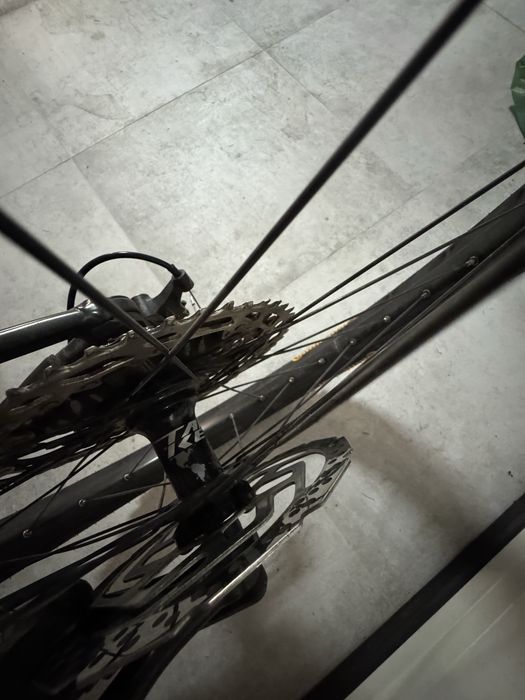 Trek Roscoe 7 2025 ML, 29 cali