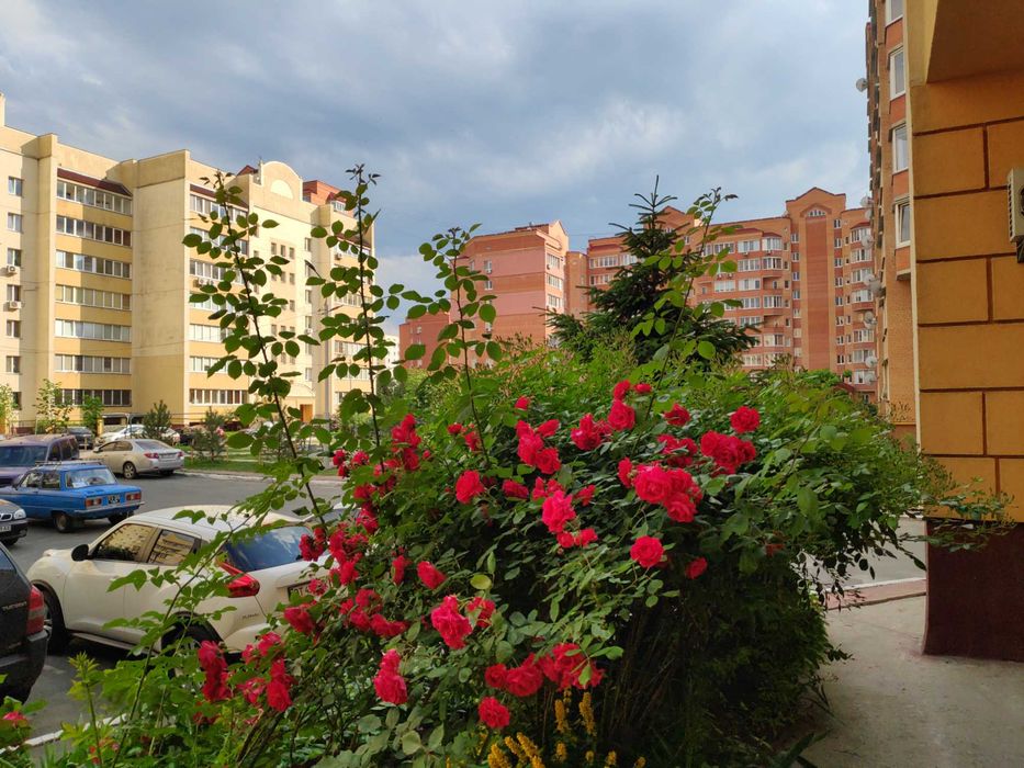 Вільна квартира Чабани Цетр 50м