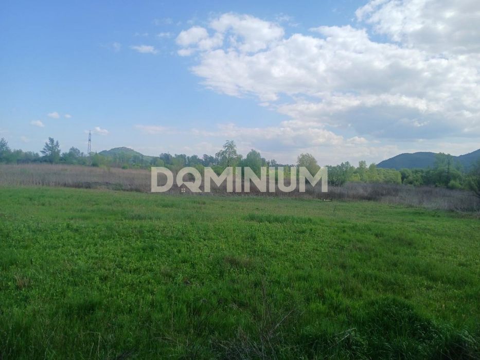 Продаж / Земля сільгосппризначення / Шаян