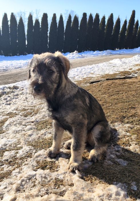 Szukamy najlepszego domu pod Słońcem