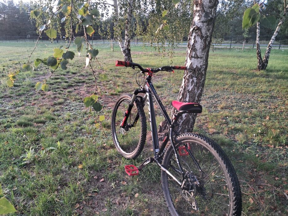 Kross  Hexagon 6.0 Stunt/DH/Dirt
