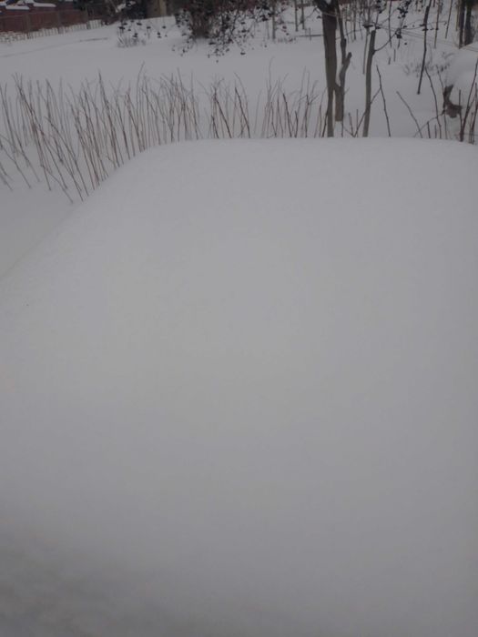 Дачна ділянка промінь