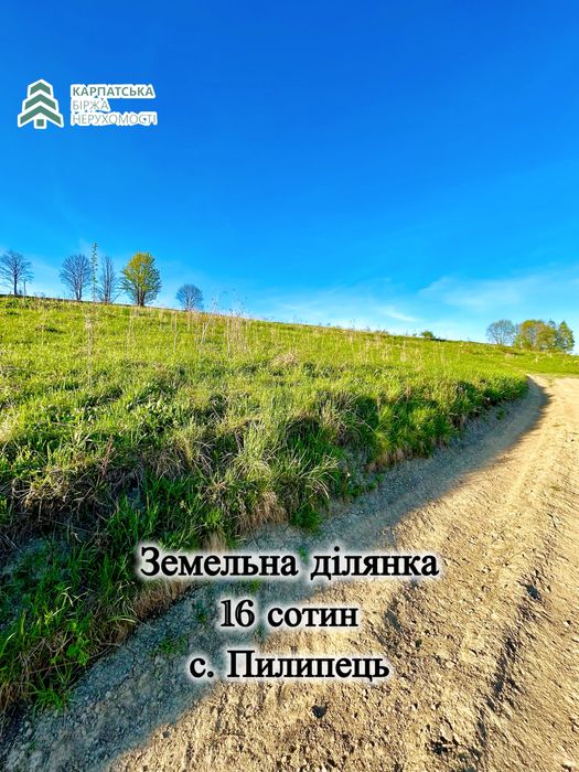 Земельна ділянка в селі Пилипець, Закарпаття