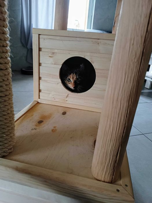 Domek-drapak dla kotów