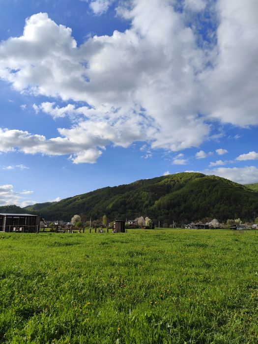 Продаж земельної ділянки 43 сот. в Карпатах с. Шешори