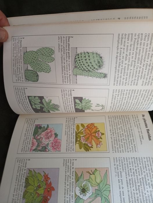 Plantas em casa no terraço e no jardim Macella Cordami 1977 Muito raro